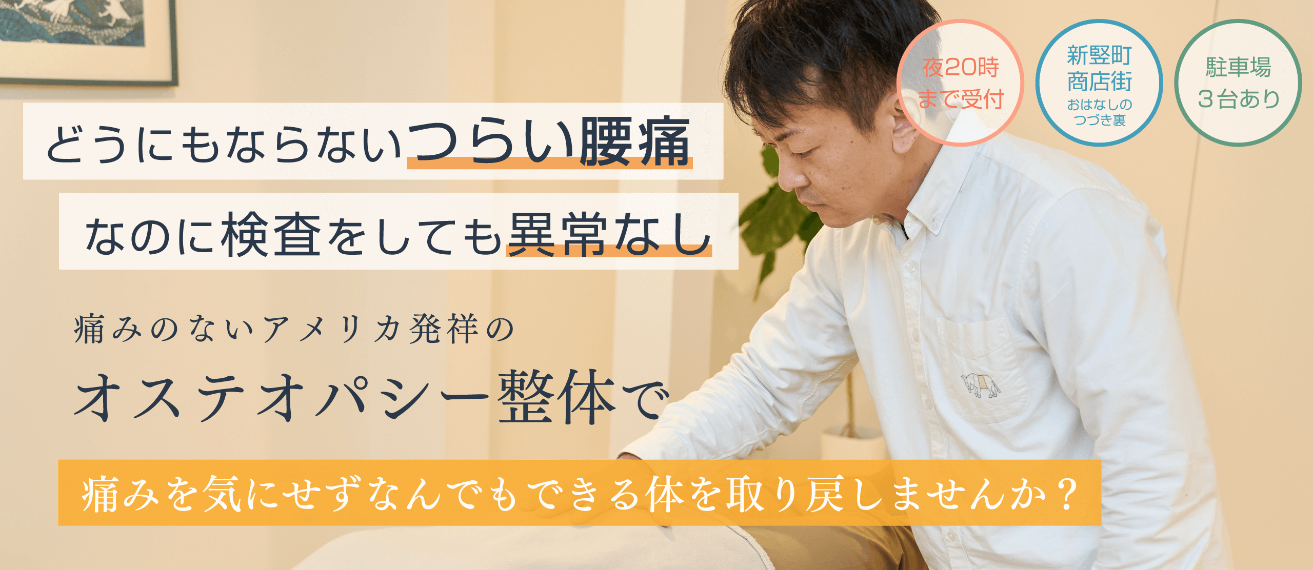 体の痛みを確実に取る! : 新オステオパシー療法 : 素人から専門家・医師まで… Amazon.co.jp: 体の痛みを確実に取る!―新オステオパシー療法